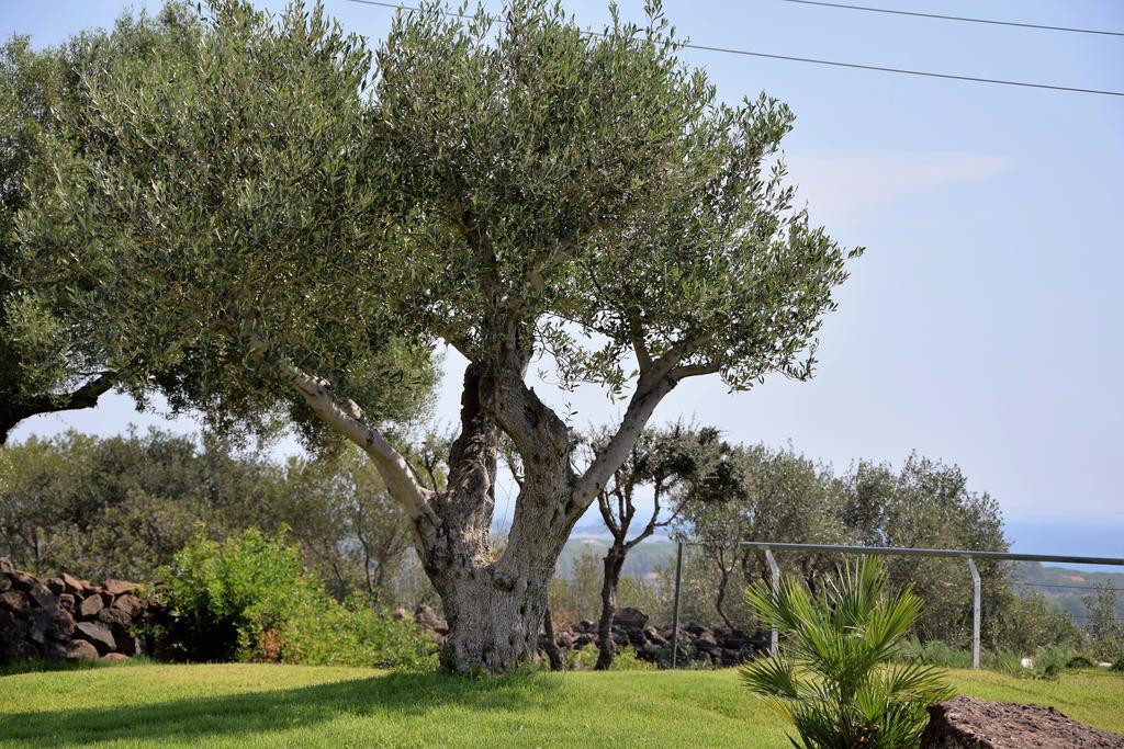 Willa Casa La Vela Cala Liberotto Zewnętrze zdjęcie